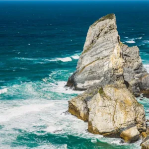 Rising from the water