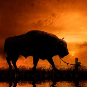 Small stump overthrown Big Dipper