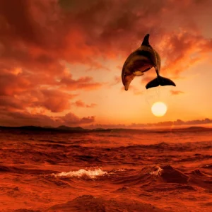 The great playful sea