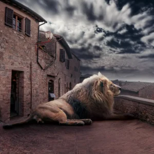 The image where words make noise