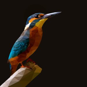 Low Poly Art - Kingfisher