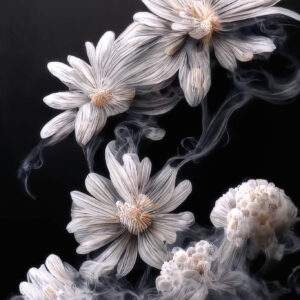 Smokey daisies