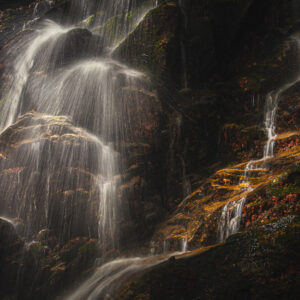 Golden waters