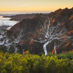 Madeira